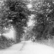 Nuneaton.  Weddington Road