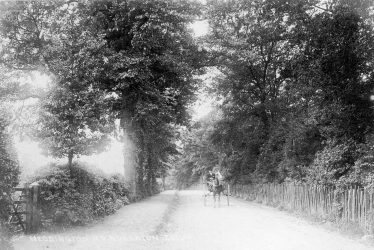 Nuneaton.  Weddington Road