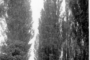 Lea Marston.  The Poplars