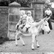 Attleborough.  The Lawns
