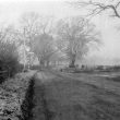 Bishops Tachbrook.  Oakley Wood