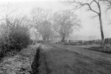 Bishops Tachbrook.  Oakley Wood