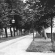 Leamington Spa.  Linden Avenue, Pump Room Gardens