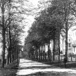 Leamington Spa.  Linden Avenue, Pump Room Gardens