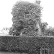 Leamington Spa.  Tachbrook windmill