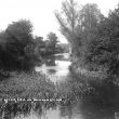Hunningham.  River Leam