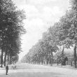 Leamington Spa.  Beauchamp Avenue