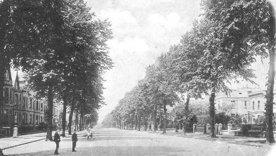 View looking down Beauchamp Avenue, Leamington Spa.  1900s |  IMAGE LOCATION: (Warwickshire County Record Office)