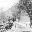 Leamington Spa.  Mill Gardens, winter scene