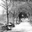 Leamington Spa.  Pump Room Gardens