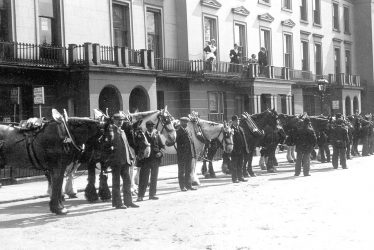 Leamington Spa.  Corporation cart horse parade