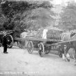 Leamington Spa.  Cart horse parade