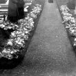 Leamington Spa.  Cemetery