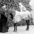 Leamington Spa.  Priest with pony and dog