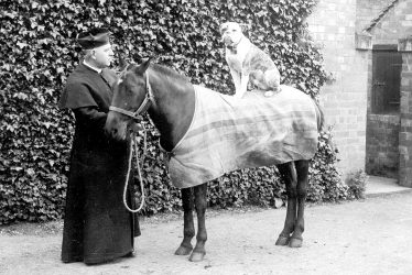 Leamington Spa.  Priest with pony and dog
