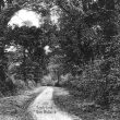 Whitacre, Over.  Sandy Lane
