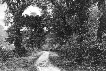 Whitacre, Over.  Sandy Lane