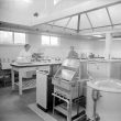 Leamington Spa.  Castel Froma, interior of kitchens