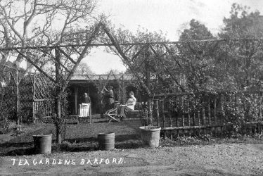 Barford.  Tea Gardens