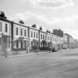 Dogs, Horses, and Fish and Chips Around Leamington