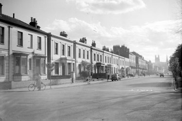 Dogs, Horses, and Fish and Chips Around Leamington