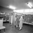 Lillington.  Library