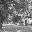 Leamington Spa.  Northumberland Road