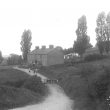Napton on the Hill.  The Poplars.