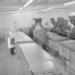 Nuneaton.  Nuneaton Observer composing room