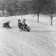 Nuneaton.  Tobogganing in George Eliot gardens