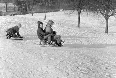 Nuneaton.  Tobogganing in George Eliot gardens