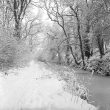 Nuneaton.  Griff Arm in the snow