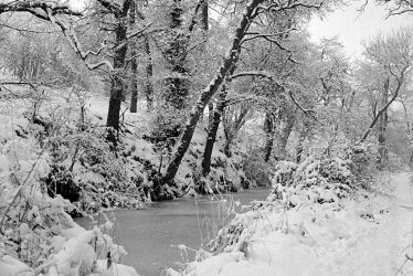 Nuneaton.  Red Deeps, snow scene