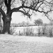 Nuneaton.  Snow scene between Bermuda and Griff
