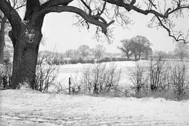 Nuneaton.  Snow scene between Bermuda and Griff
