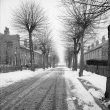 Bermuda.  Village in the snow