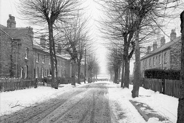 Bermuda.  Village in the snow