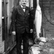 Why is 'Blimey' Hall With a Salmon?