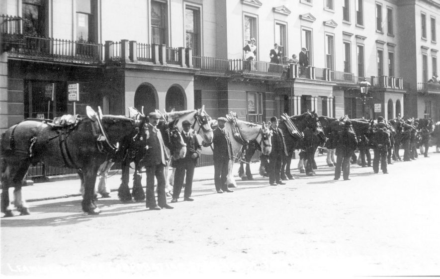 Cart horse parade, Leamington Spa.  1907 |  IMAGE LOCATION: (Leamington Library)
