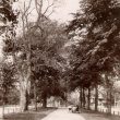 Leamington Spa.  Holly Walk