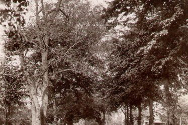 Leamington Spa.  Holly Walk