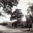 Leamington Spa.  Willes Road