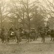 Leamington Spa.  Artillery horses