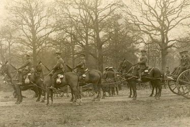 Leamington Spa.  Artillery horses