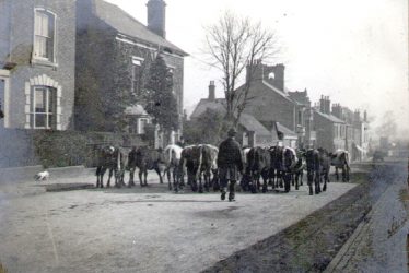Rugby.  Albert Street