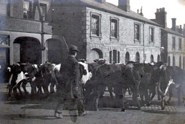 Rugby.  Albert Street