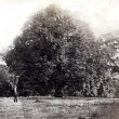 Rugby.  Chestnut Field