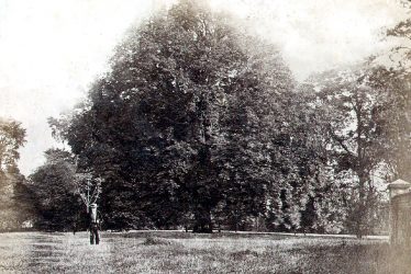 Rugby.  Chestnut Field