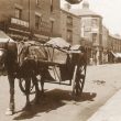 Rugby.  Sheep Street