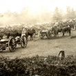 Bilton.  Howitzer Brigade